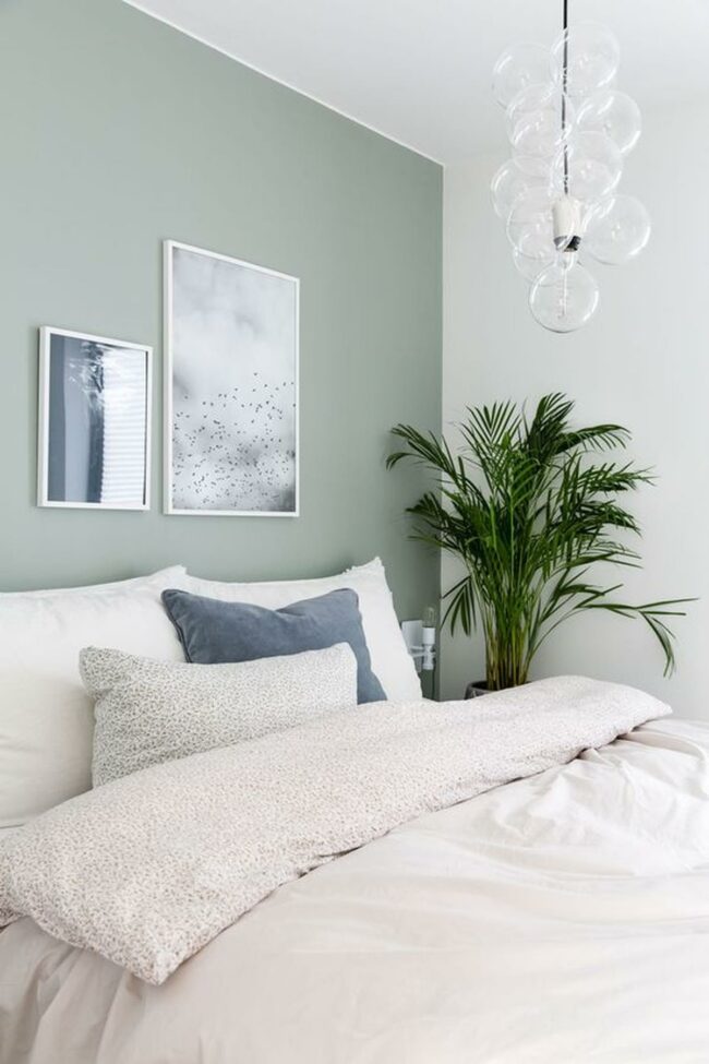 Serene Green Sanctuary Softness