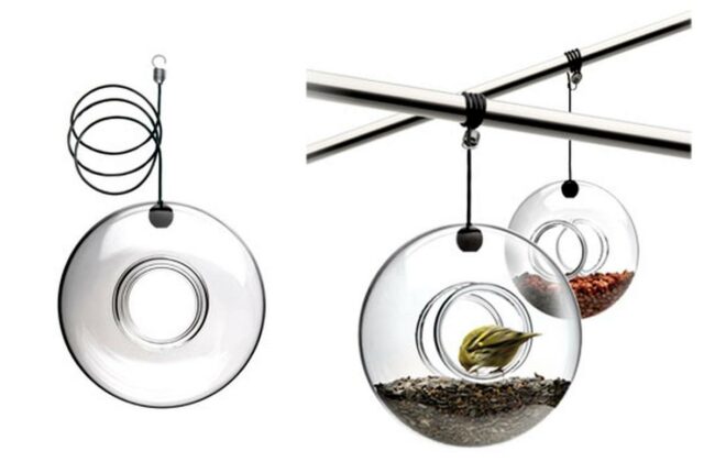 Clear Glass Hanging Terrariums