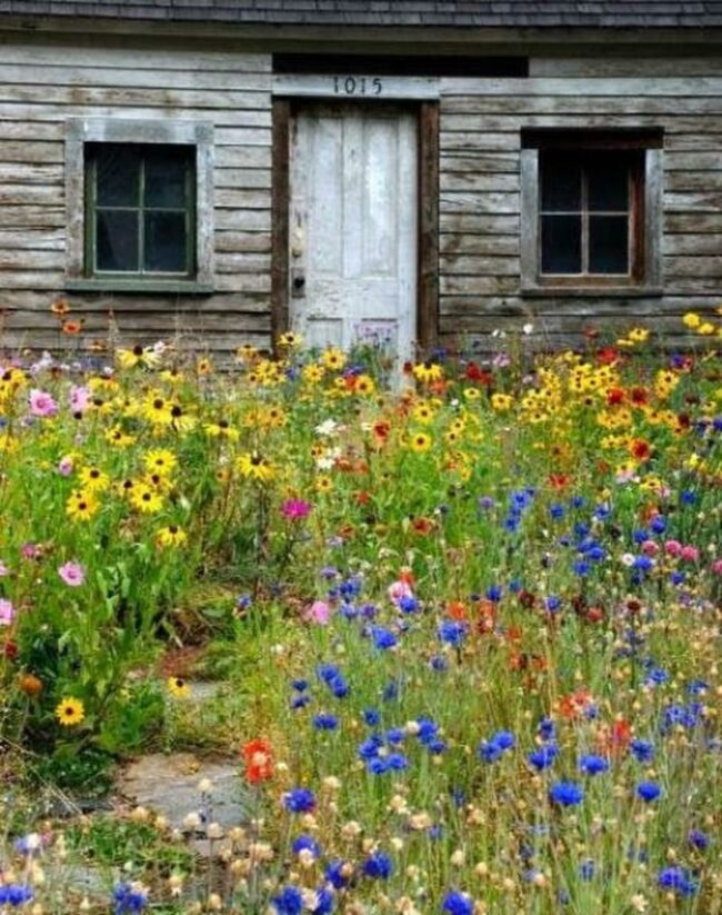 Colorful Wildflower Cottage