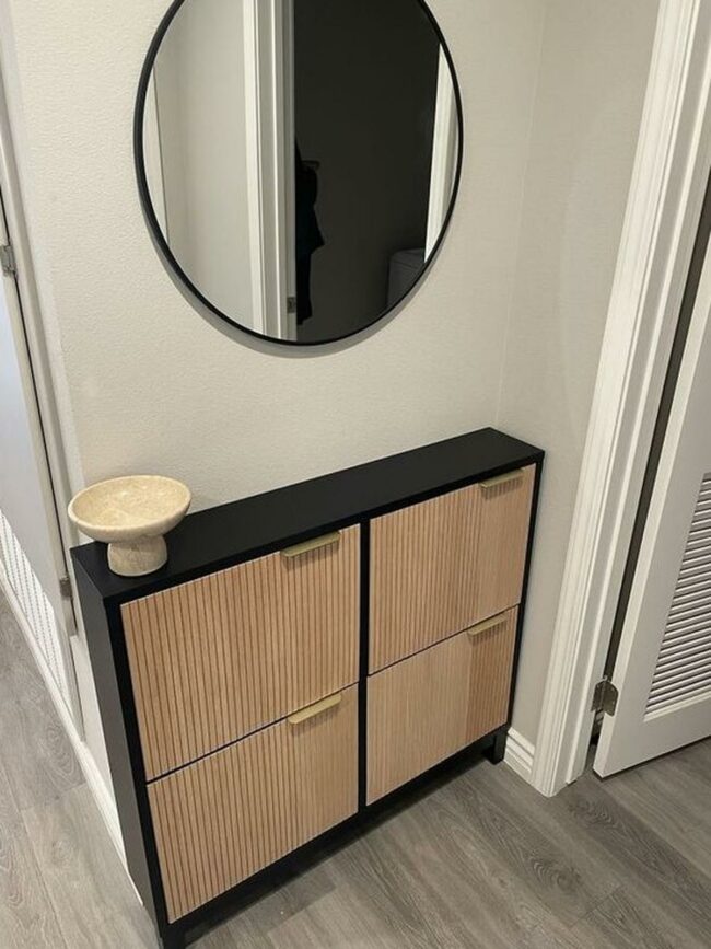 Black Cabinet Chic Minimalism