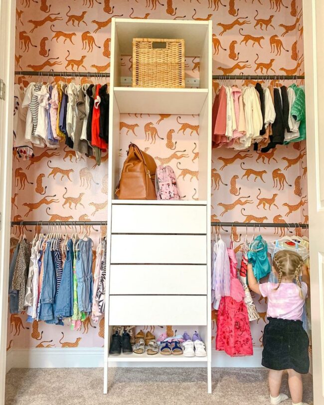 Cheetah Print Closet