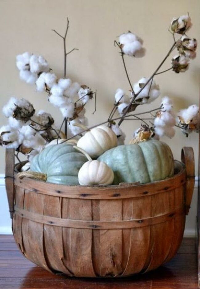 Soft Green Pumpkin Gathering