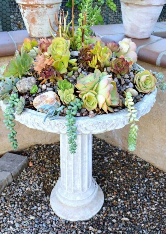 White Succulent Cascade