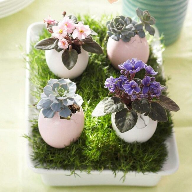 Pastel Eggshell Garden Miniature