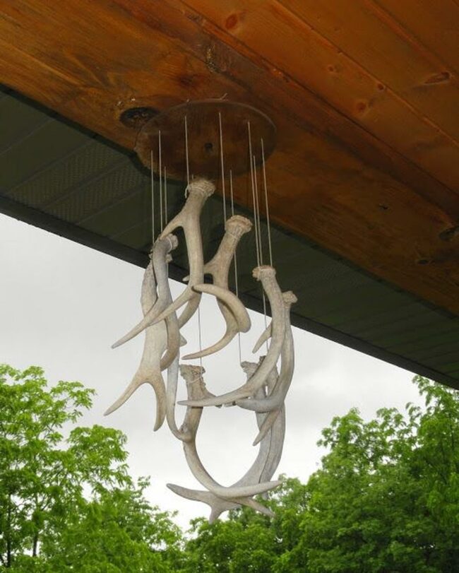 Antler Wind Chime Symphony