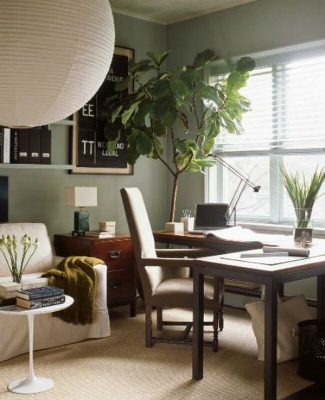 Verdant Green Workspace Sanctuary