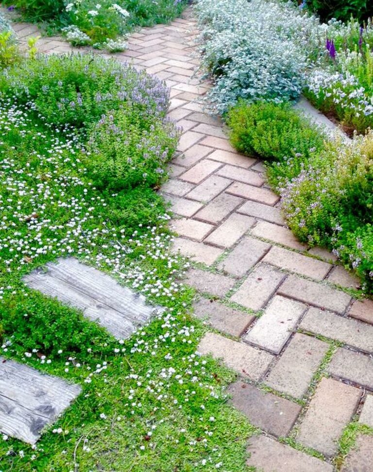 41 Brick Path Design Ideas with Advantages and Drawbacks