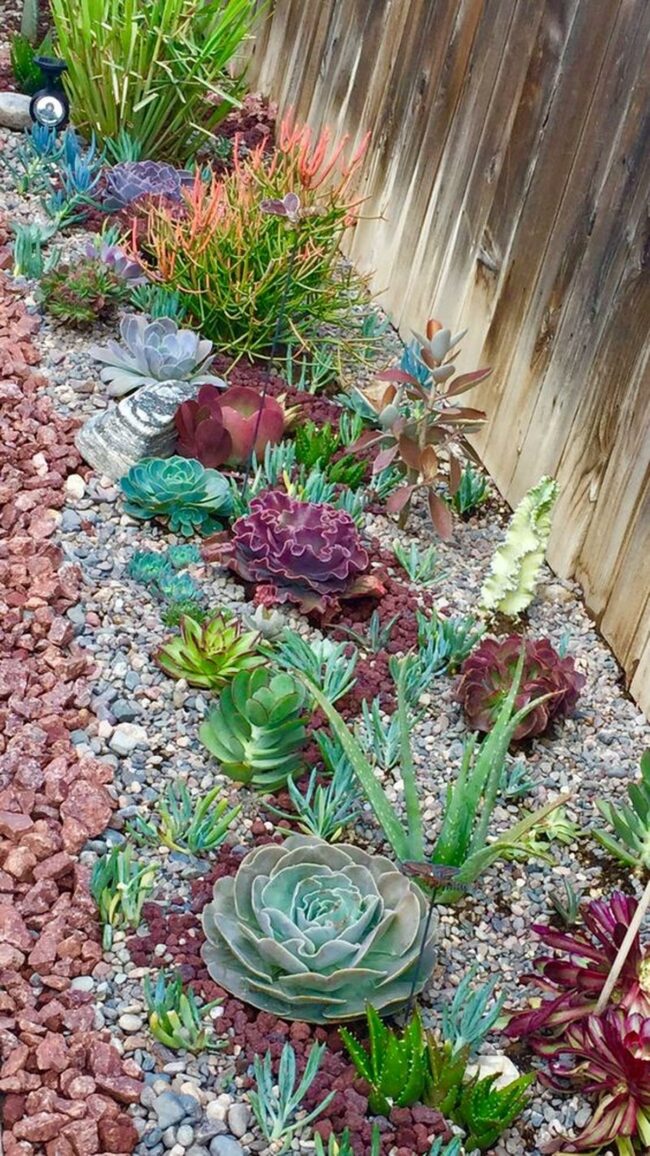Red Rock Succulent Garden