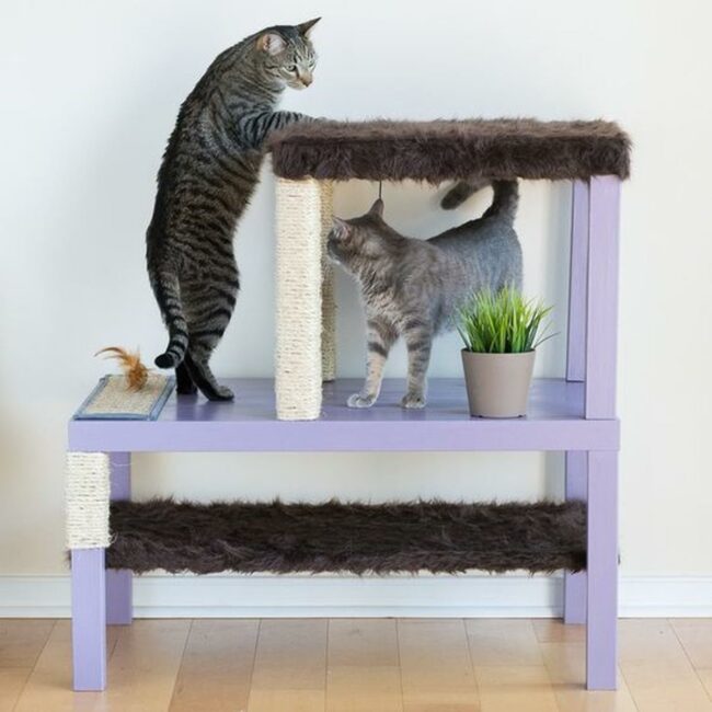 Purple Playhouse Feline Paradise