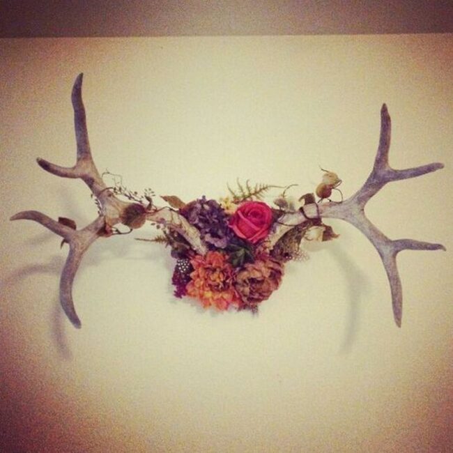 Wildwood Crimson Blossoms