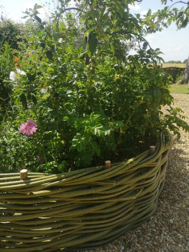 Green Willow Woven Sanctuary