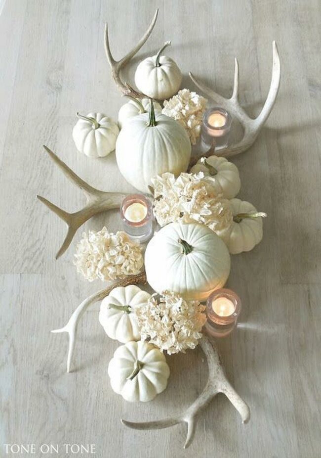 Ivory Pumpkins Woodland Whisper
