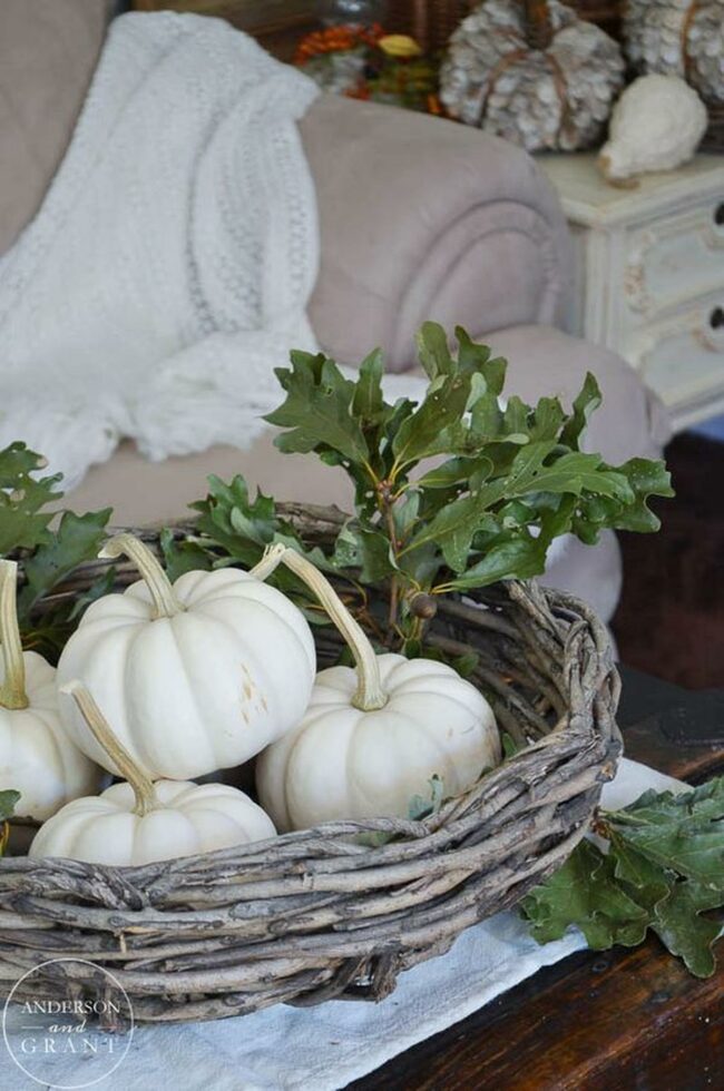 White Pumpkins Woodland Whisper