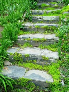 42 Beautiful Stone Garden Step Ideas