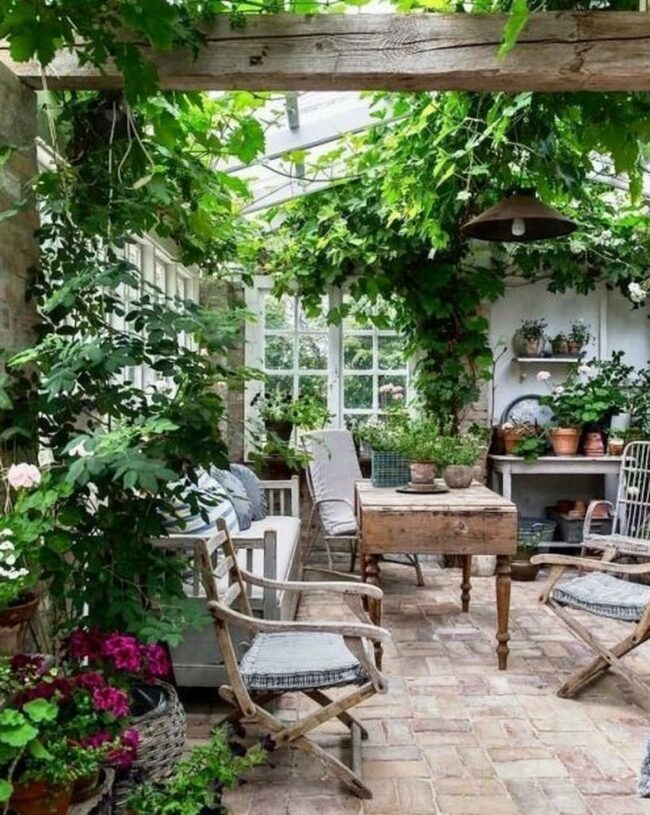 Green Vine Indoor Sanctuary