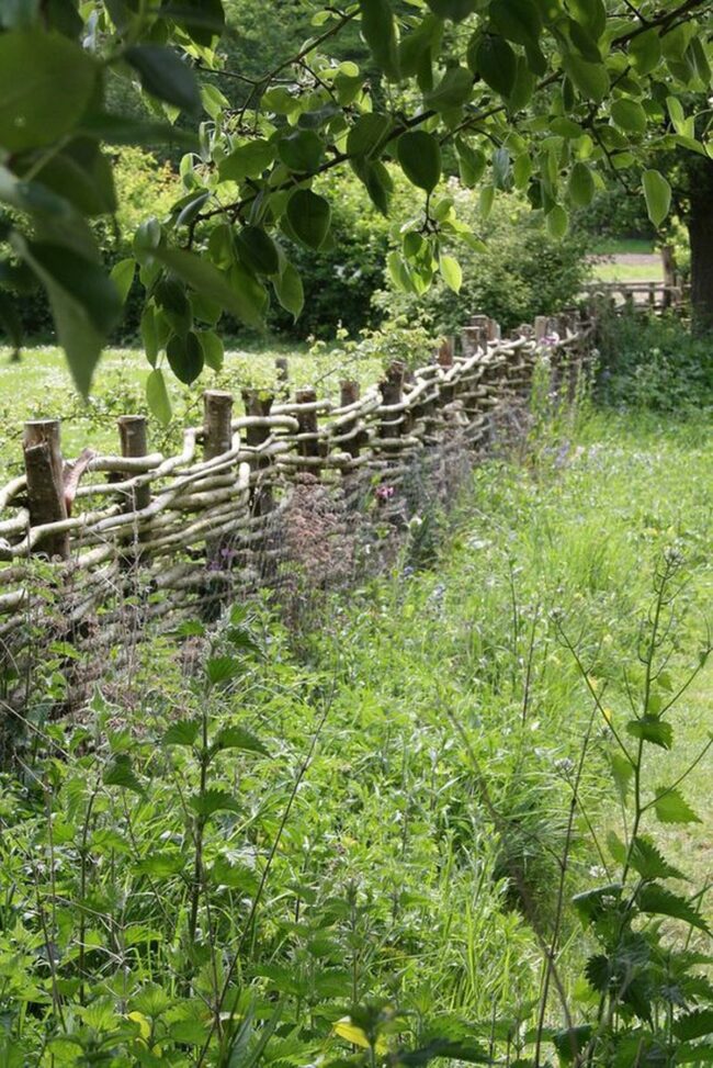 Green Branches Woodland Sanctuary
