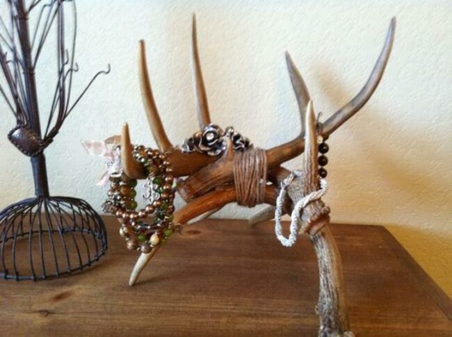 Woodland Antler Jewelry Tableau