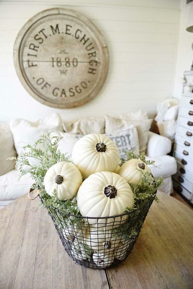 White Pumpkins Natural Charm