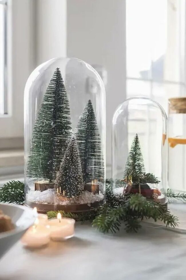 Frosty Pine Miniature Terrarium