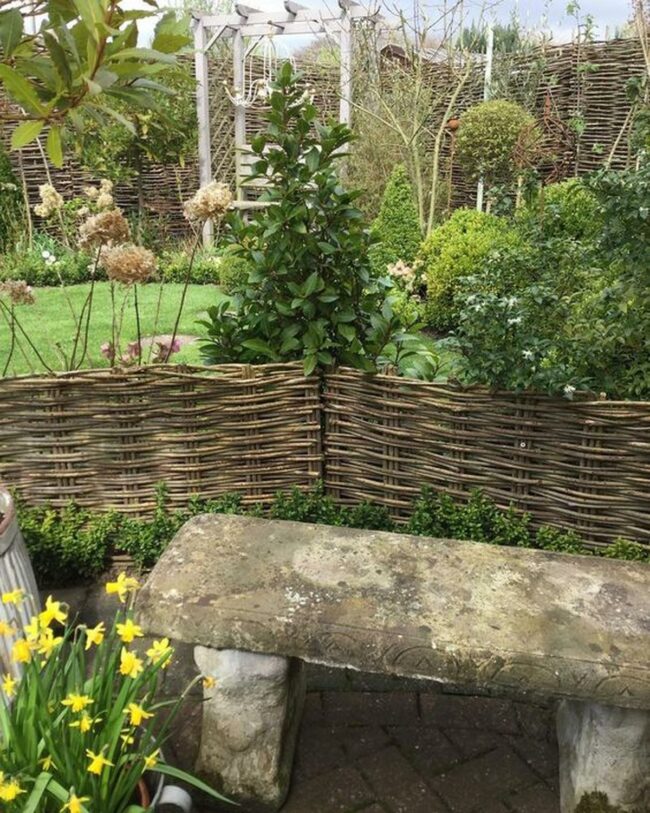 Green Sanctuary Yellow Blooms