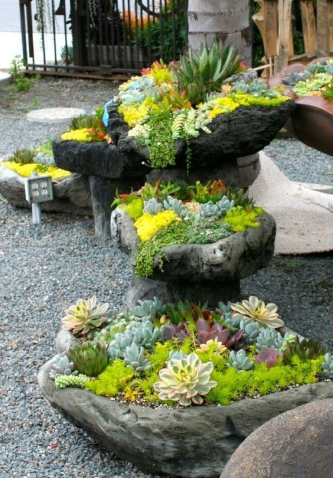 Textured Stone Succulent Garden