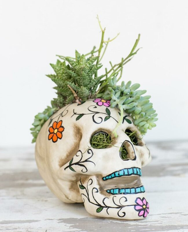 Floral Skull Succulent Display