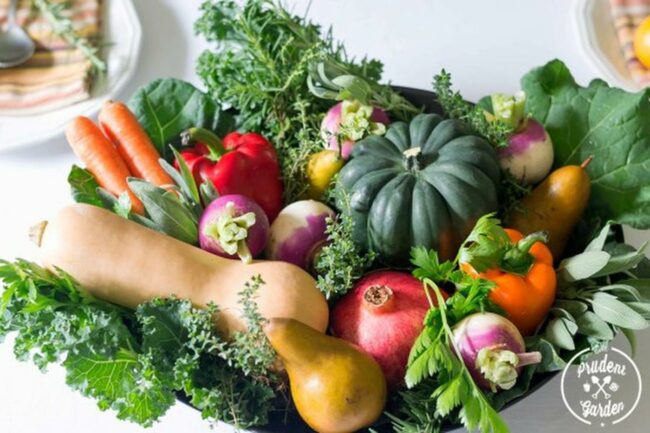 Verdant Harvest Palette