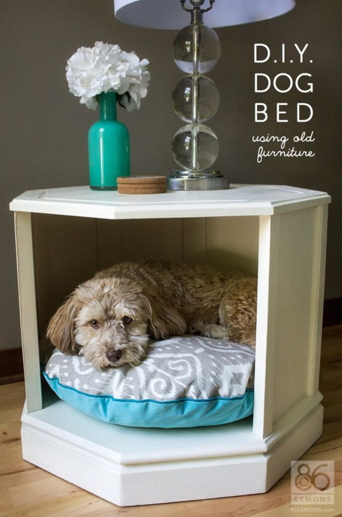 26 Cozy DIY Pet Bed Ideas to Pamper Your Furry Friends - Diy Pet Bed Ideas