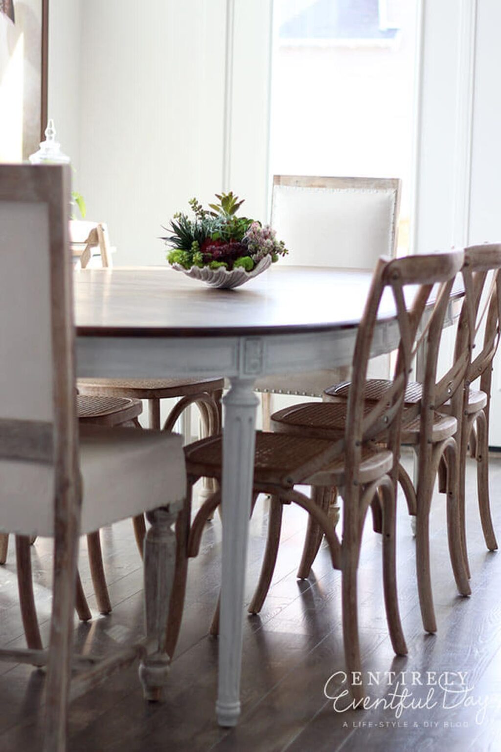57 Best DIY Shell Project Ideas for Coastal Vibes
