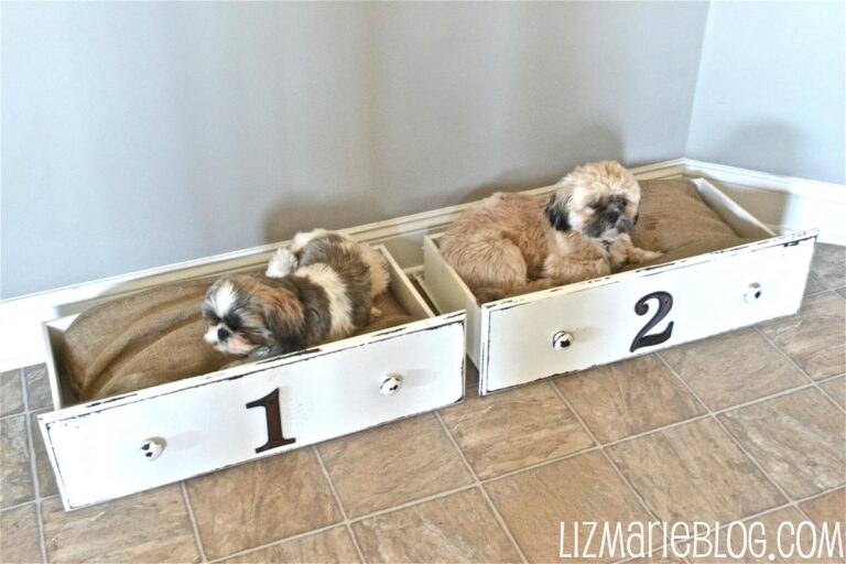 View of 26 Cozy DIY Pet Bed Ideas to Pamper Your Furry Friends