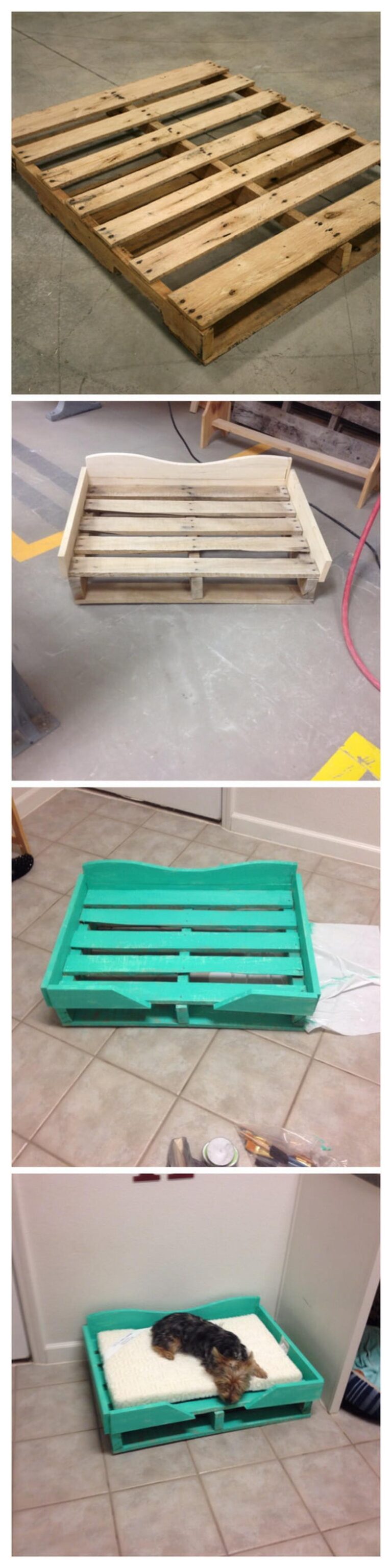 View of 26 Cozy DIY Pet Bed Ideas to Pamper Your Furry Friends