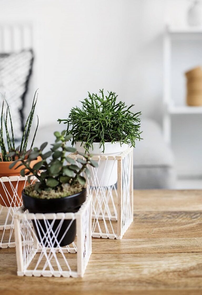 28 Charming DIY Plant Risers for Indoor Plants That Wow Guests