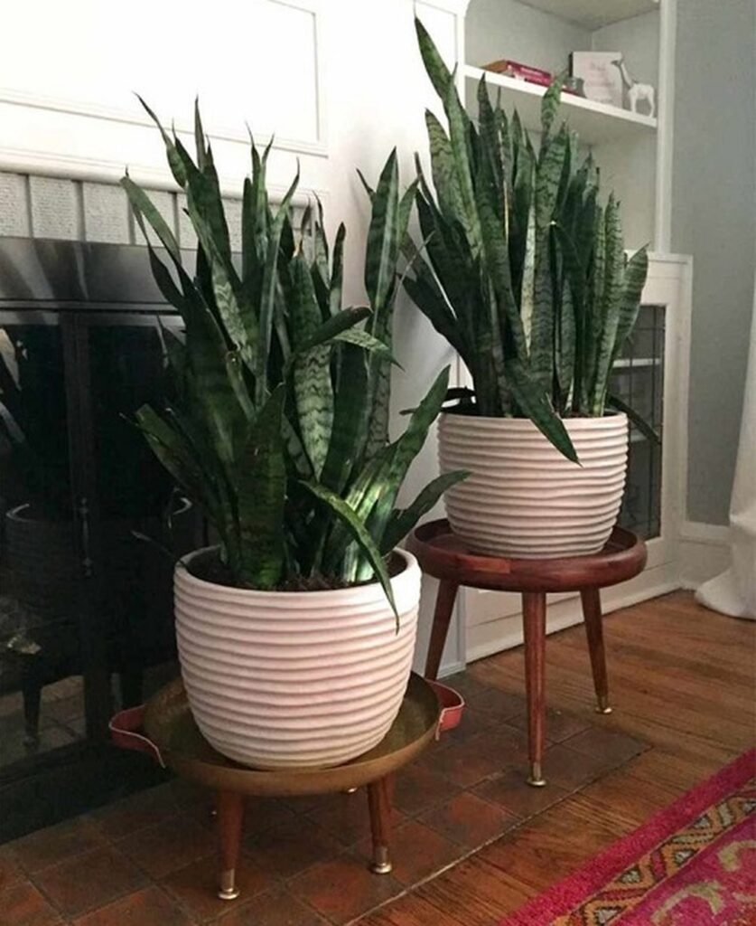 28 Charming DIY Plant Risers for Indoor Plants That Wow Guests