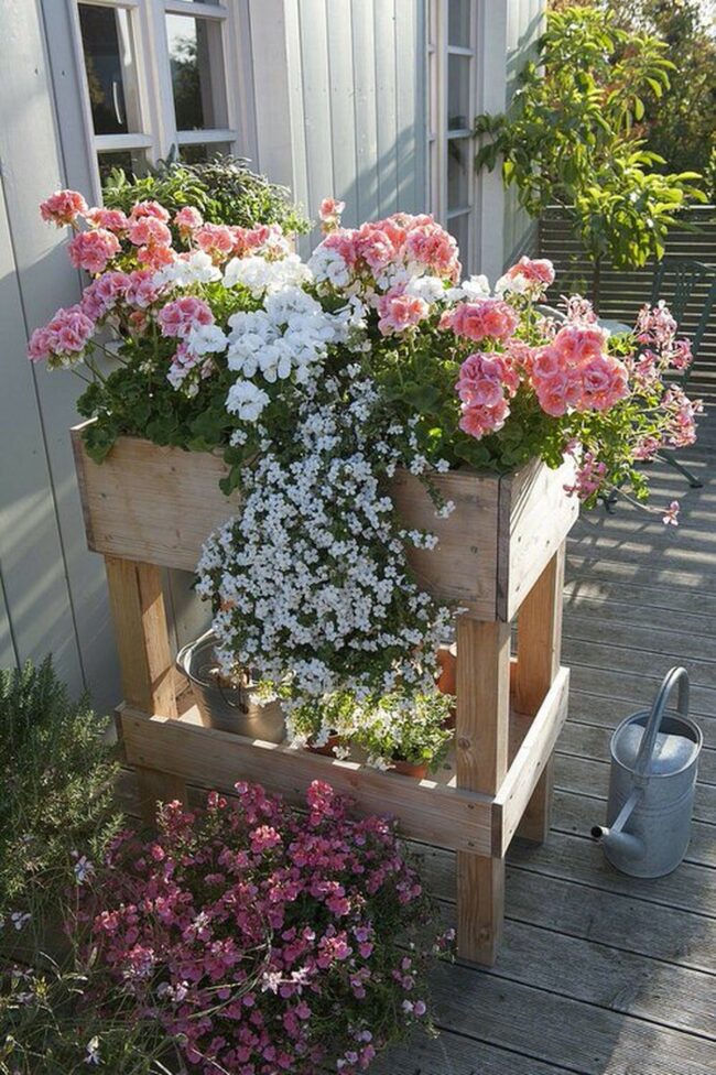 Garden Color Stage