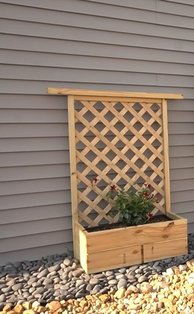 52 Stunning DIY Trellis For Plants Ideas To Transform Your Photo Inspiration