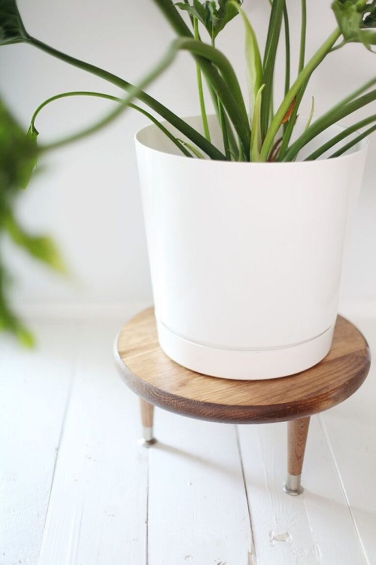 28 Charming DIY Plant Risers for Indoor Plants That Wow Guests