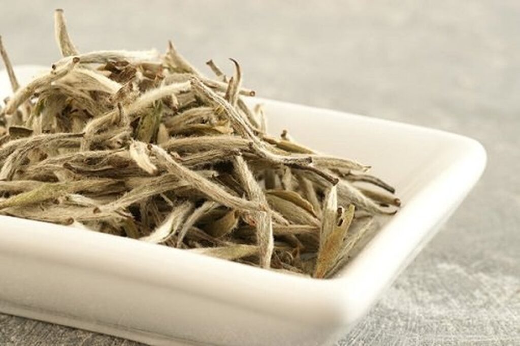 10 Fascinating Types of Tea Leaves Every Tea Lover Should Know