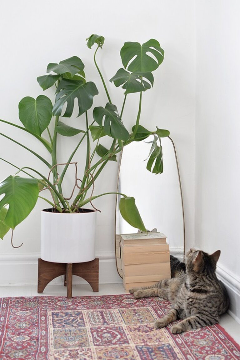28 Charming DIY Plant Risers for Indoor Plants That Wow Guests