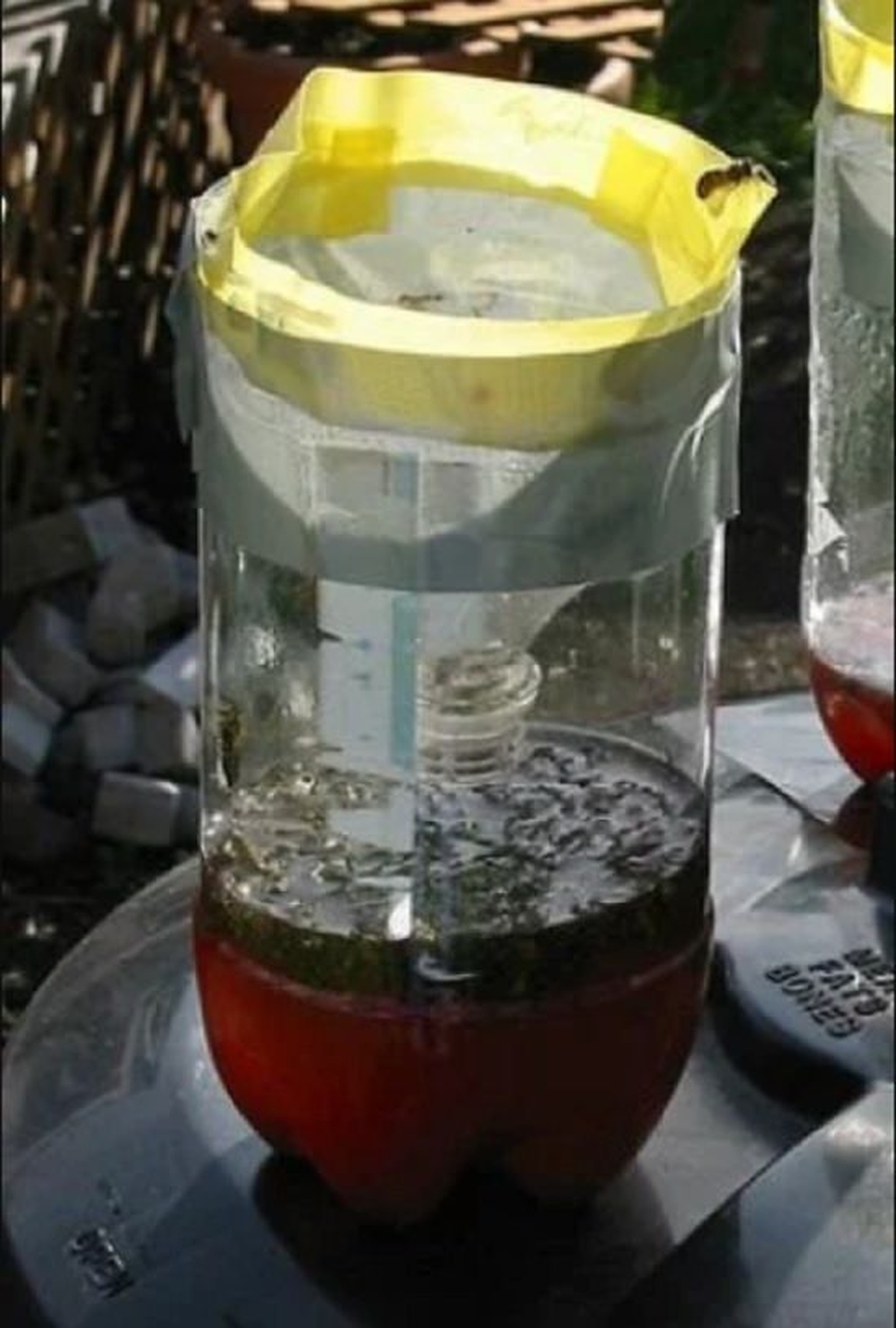 7 Brilliant DIY Wasp Trap Ideas for Garden - Buzz Be Gone!
