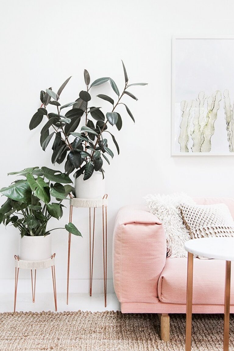 28 Charming DIY Plant Risers for Indoor Plants That Wow Guests