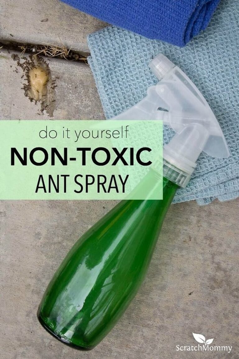30 Effective Natural Home Remedies To Get Rid of Ants Today