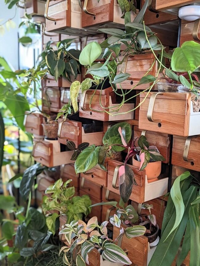Vintage Catalogue Plant Paradise