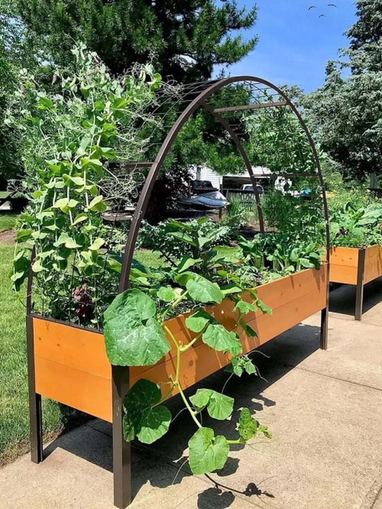 25 Genius Plant Support Ideas That Really Work