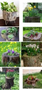 20 Delightful DIY Tree Projects To Transform Your Backyard