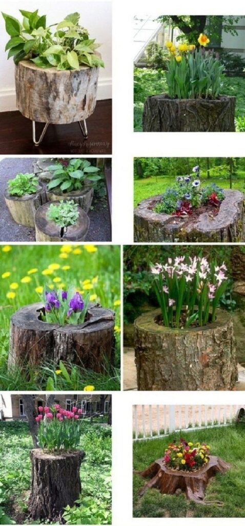 20 Delightful DIY Tree Projects To Transform Your Backyard