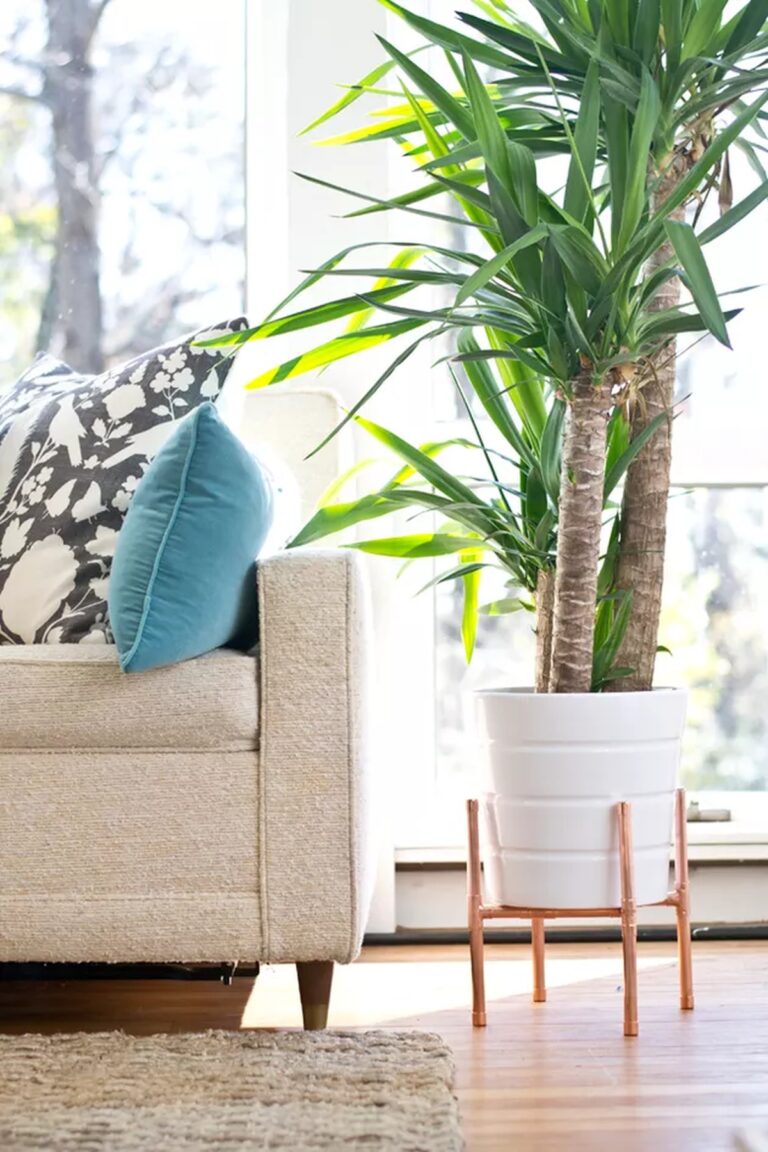 28 Charming DIY Plant Risers for Indoor Plants That Wow Guests