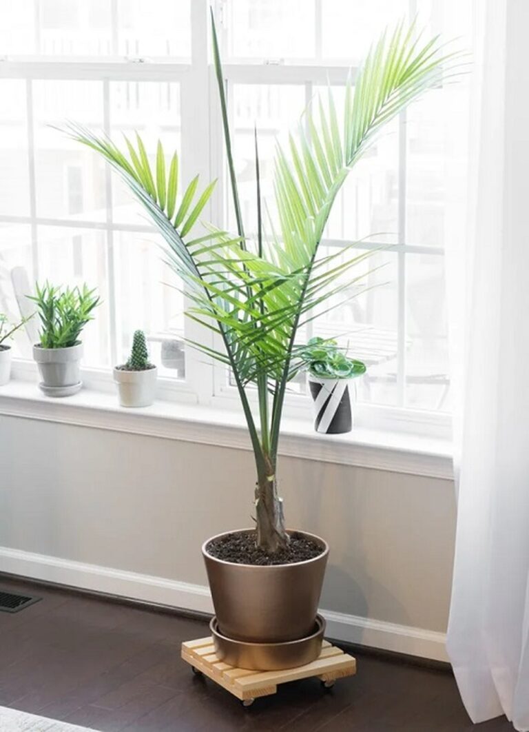 28 Charming DIY Plant Risers for Indoor Plants That Wow Guests