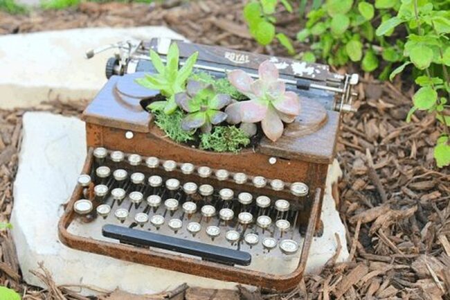 Vintage Typewriter Succulent Home