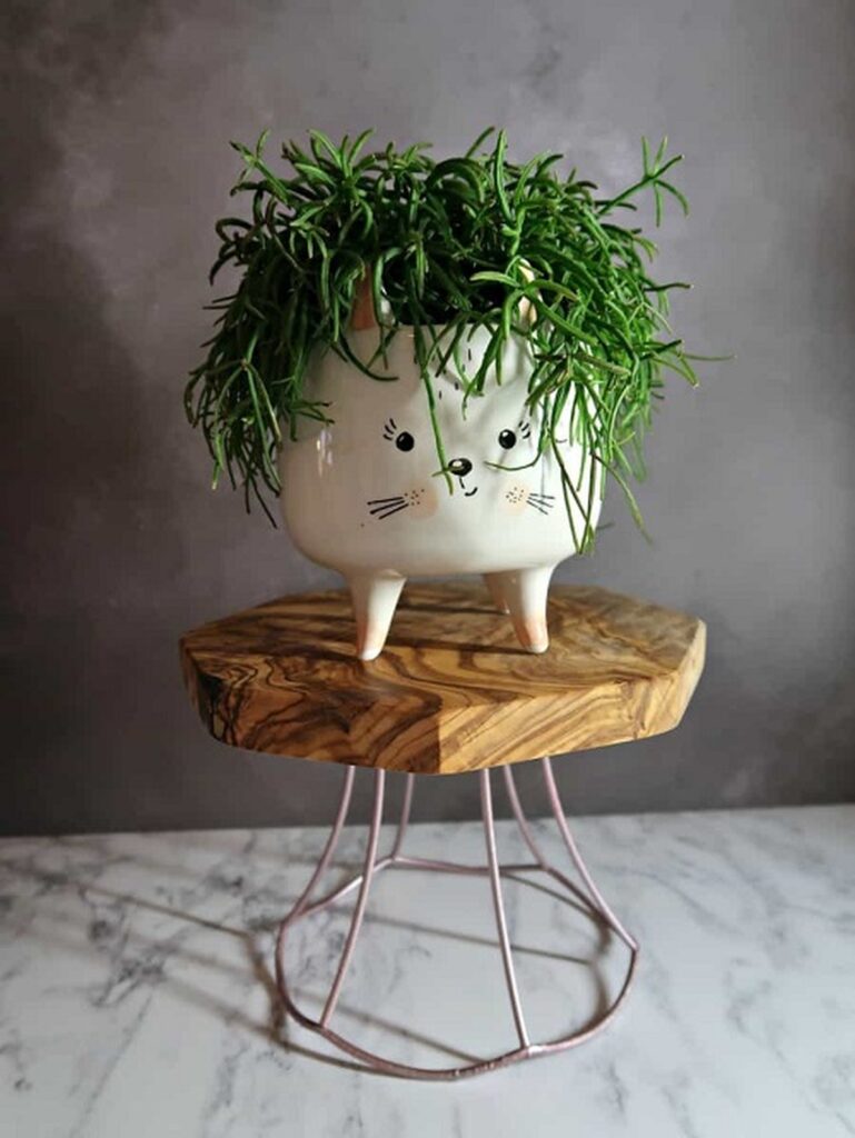 28 Charming DIY Plant Risers for Indoor Plants That Wow Guests