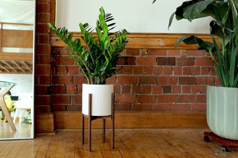 28 Charming DIY Plant Risers for Indoor Plants That Wow Guests